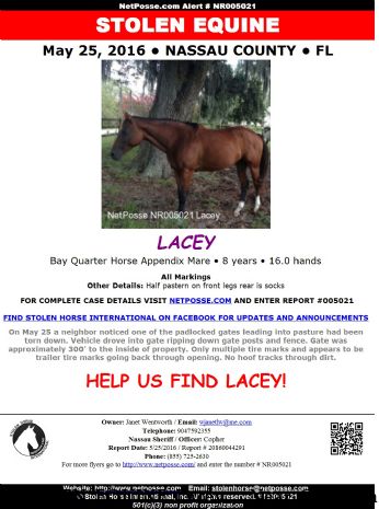 STOLEN EQUINE Lacey ,  Near Callahan , FL, 32011